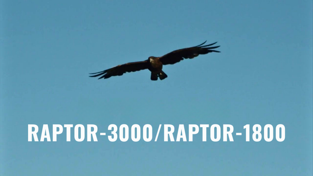 Raptor_image